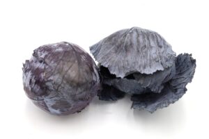 Kapusta czerwona  EKO 1 kg