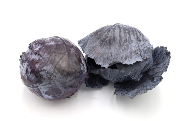 Kapusta czerwona  EKO 1 kg