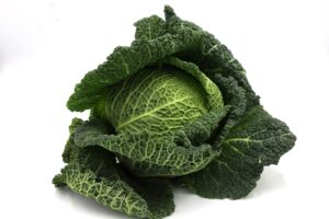Kapusta włoska EKO 1 kg
