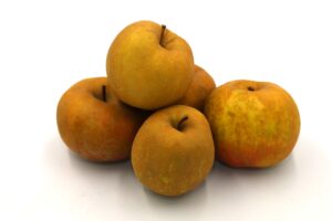 Jabłka szara reneta 1kg EKO
