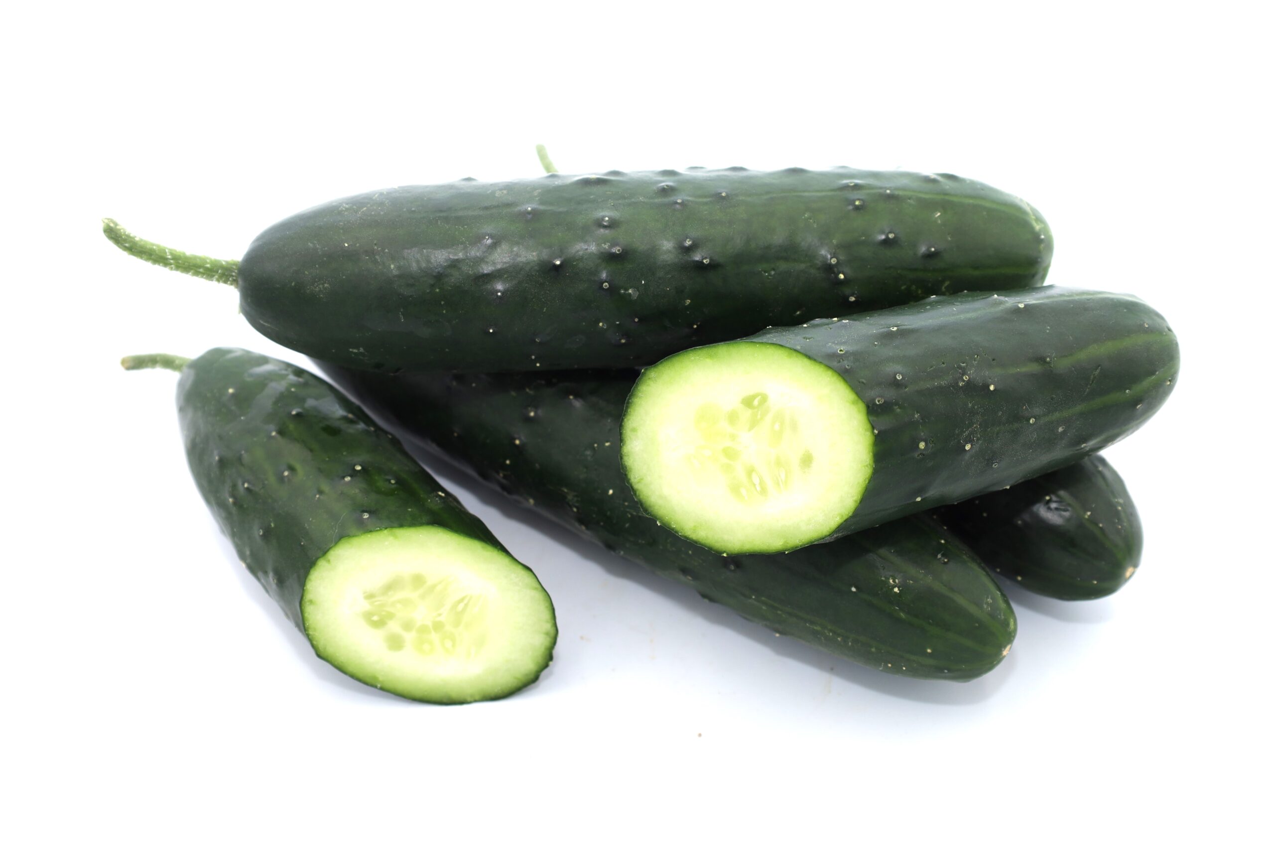 Ogórek krótki 500g EKO